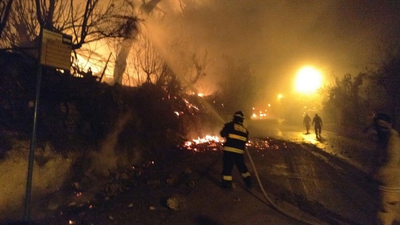 Devastador incendio en los alrededores de Jerusalén, restaurant y ... - Aurora