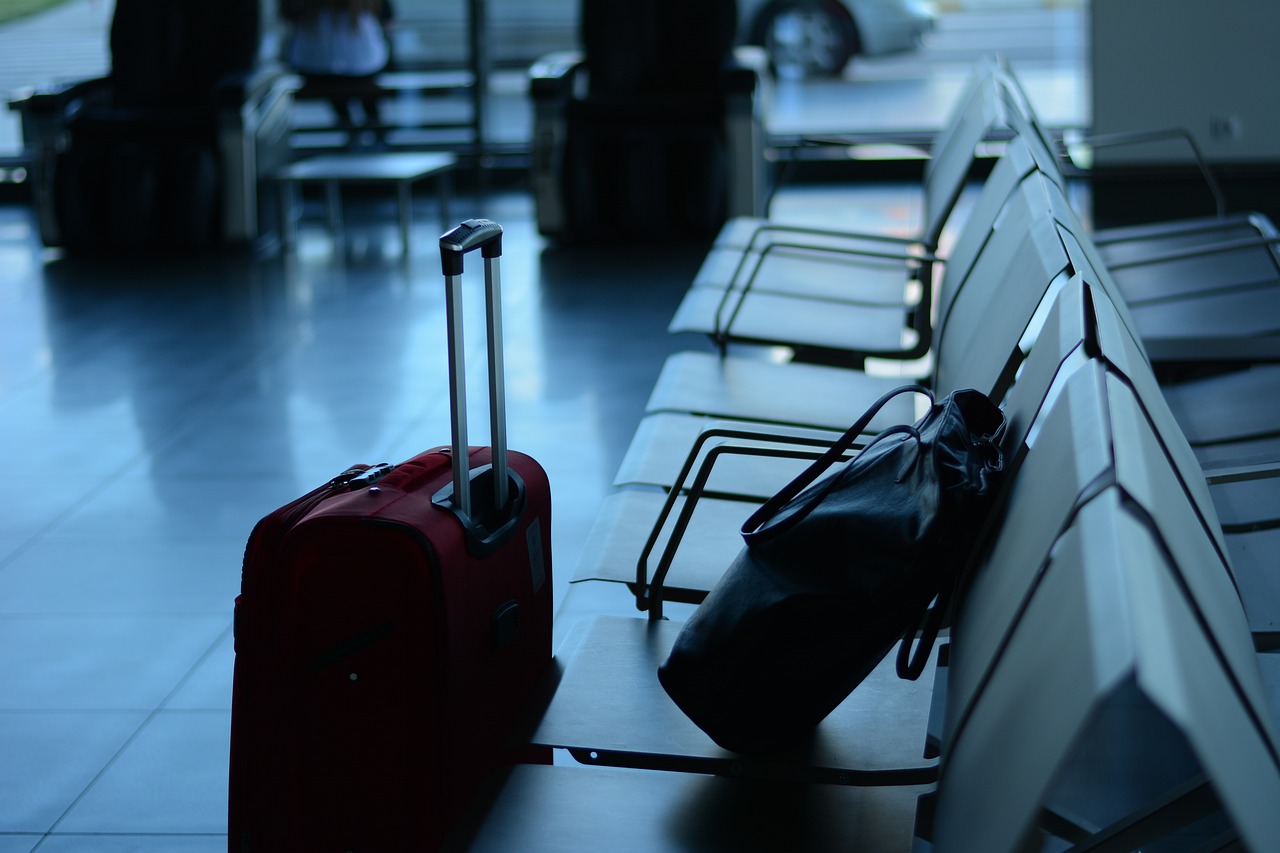 SeeTrue desarrolló un sistema de scanner de equipaje con IA que agilizaría la experiencia de volar en avión. Foto: Stela Di/Pixabay.