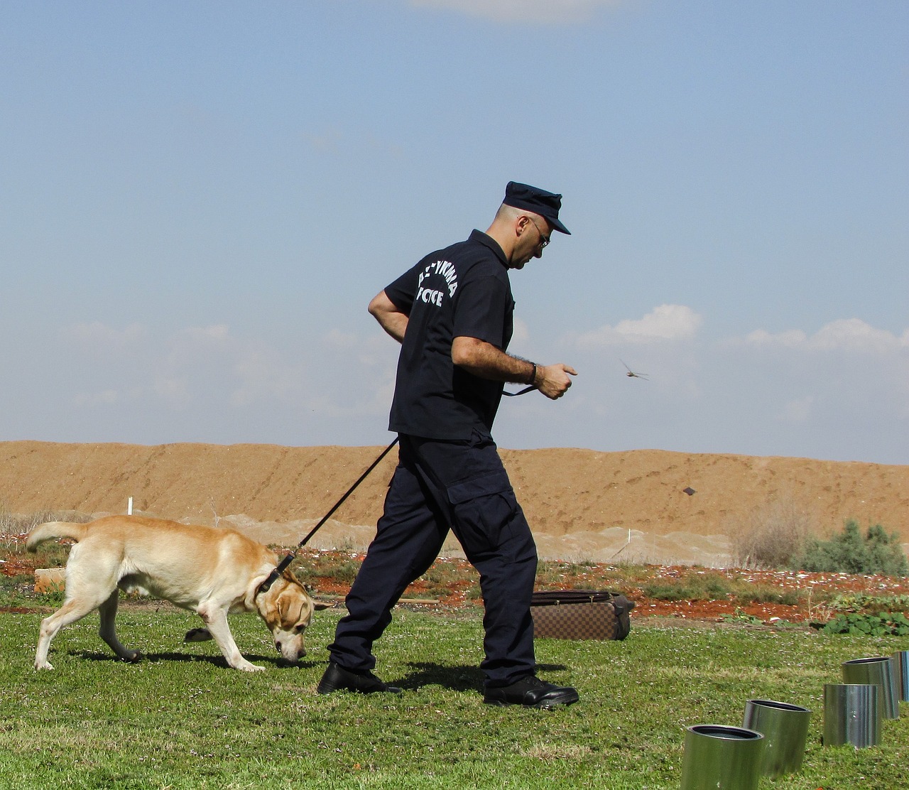 Dogs 4 Soldiers es uno de los proyectos en Israel que buscan ayudar a los veteranos de guerra. Foto: Dimitris Vetsikas/Pixabay.
