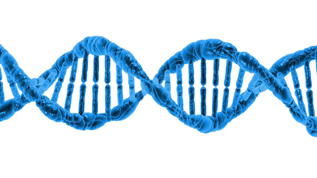 La nueva tecnología israelí de Alpha DaRT atraviesa el ADN para eliminar las células cancerosas. Foto: Kadumago/ CC BY 4.0, via Wikimedia Commons