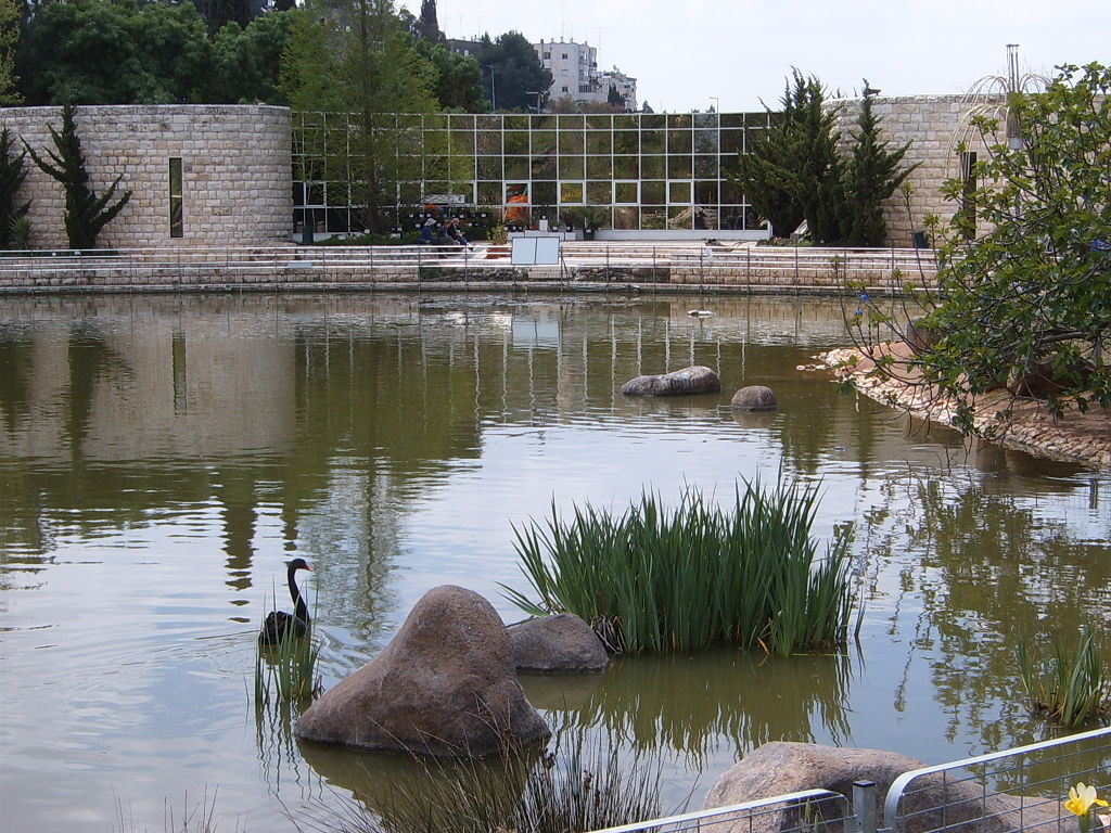 Fotografía tomada en el año 2006 en el Jardín Botánico de Jerusalén, Israel. Foto: Heatkernel from The Negev/CC BY 2.0 via Wikimedia Commons.