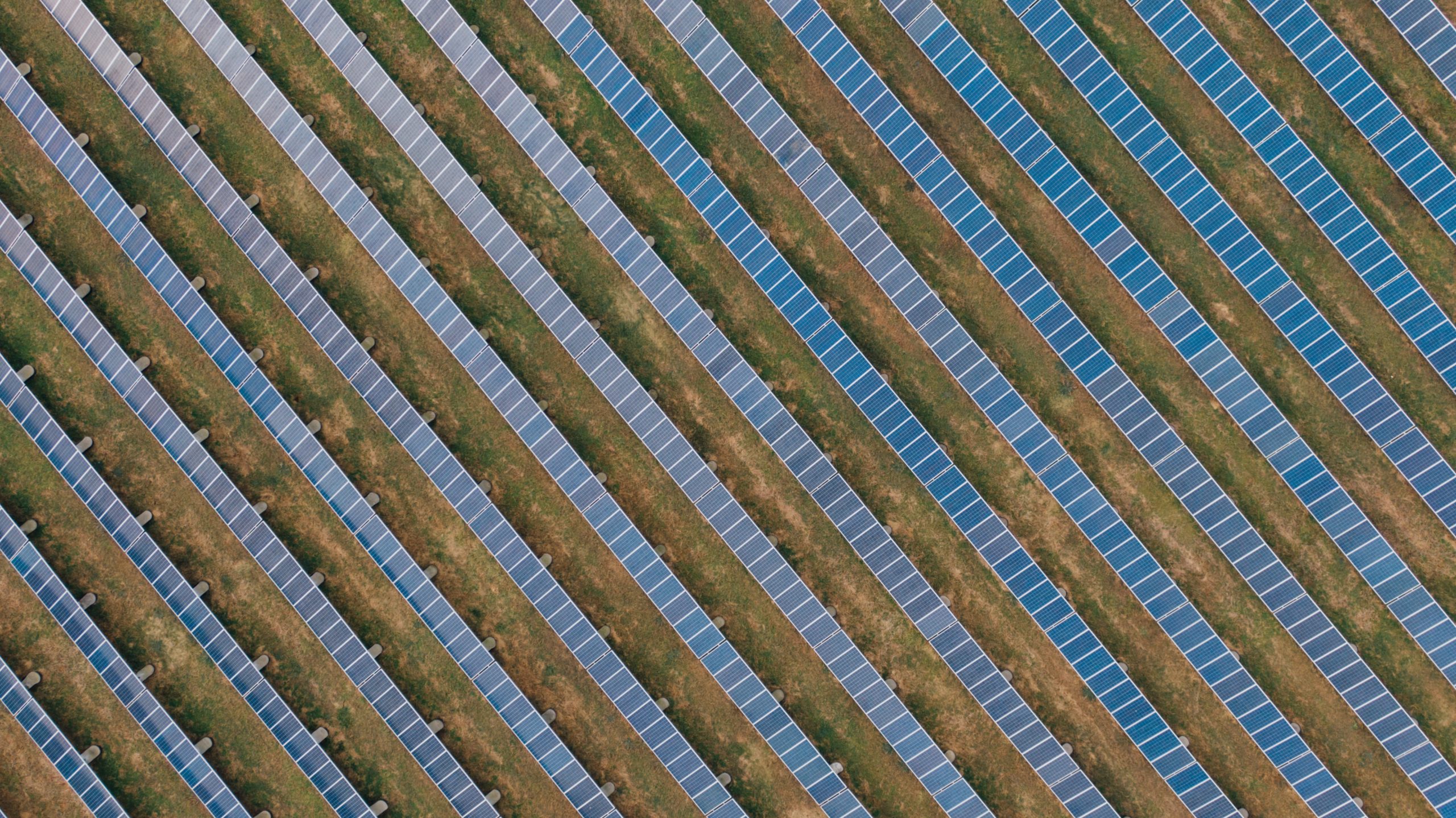 Se les llama granjas solares a las instalaciones a gran escala de paneles solares para generar electricidad limpia. Foto: Kelly/Pexels.