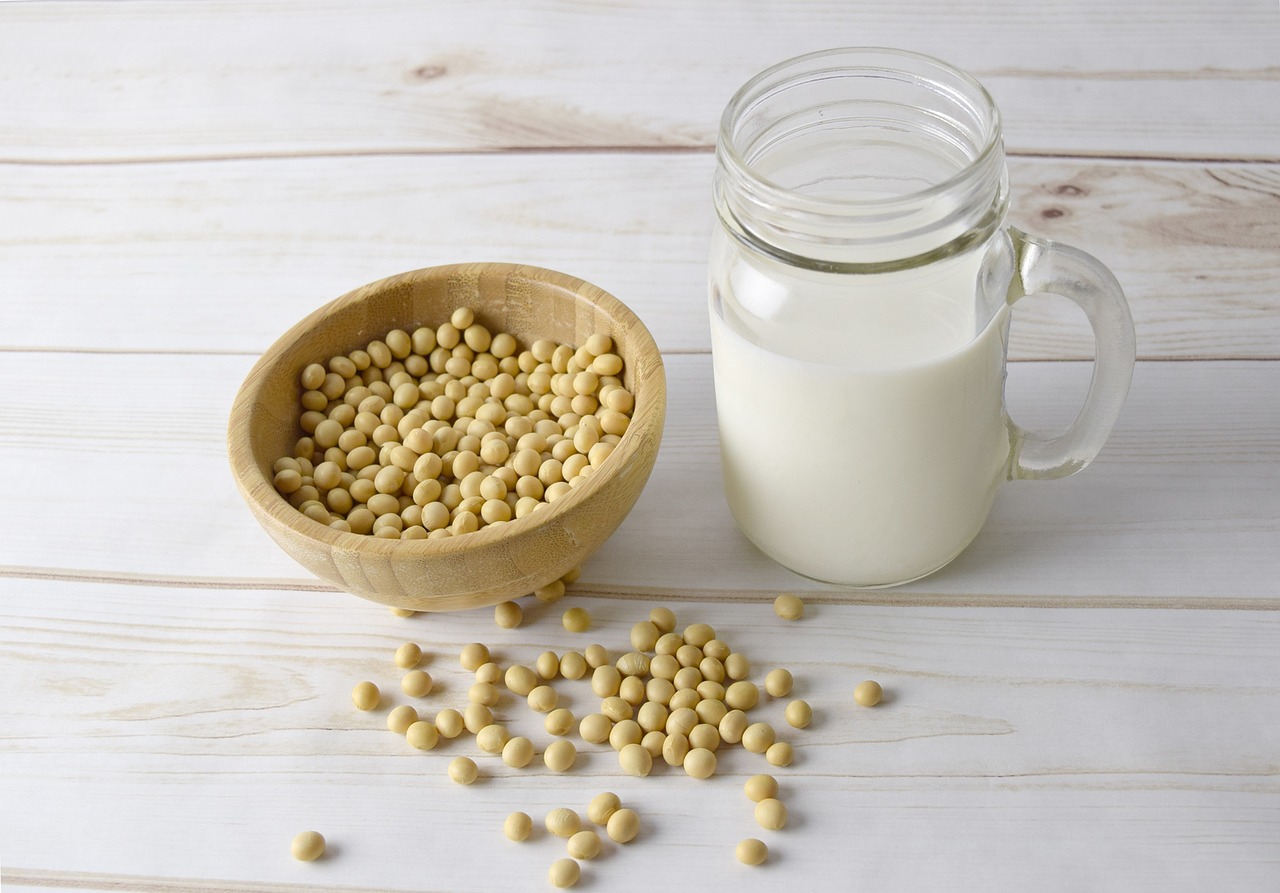 Hace mucho que se producen lácteos a partir de legumbres y vegetales, como por ejemplo la leche de soja. En la actualidad se busca producir leche con un sabor más similar al de la tradicional. Foto: bigfatcat/Pixabay.