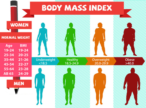 El índice de masa corporal (IMC) es el parámetro más utilizado para definir la obesidad. Foto: DrV-Amar/CC BY-SA 4.0, via Wikimedia Commons.