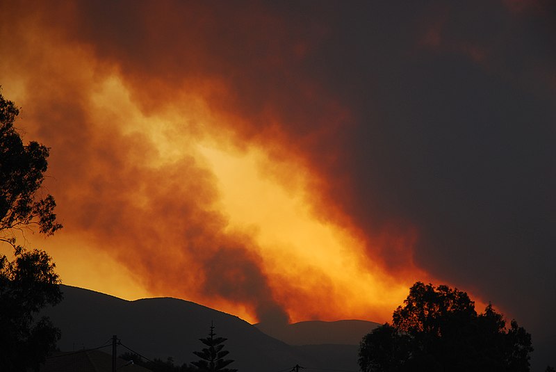 Incendio forestal en la isla de Zakynthos, Grecia, el 25 de julio de 2007. Foto: Carl Osbourn/CC BY 2.0, via Wikimedia Commons.
