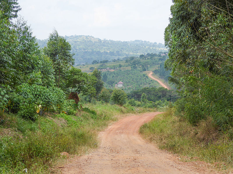 El camino en Mbazzi, en Mpigi, el distrito de Uganda en el que fue arrestado el israelí acusado de asesinato. Foto: Dan Frendin/CC BY-SA 4.0, via Wikimedia Commons.
