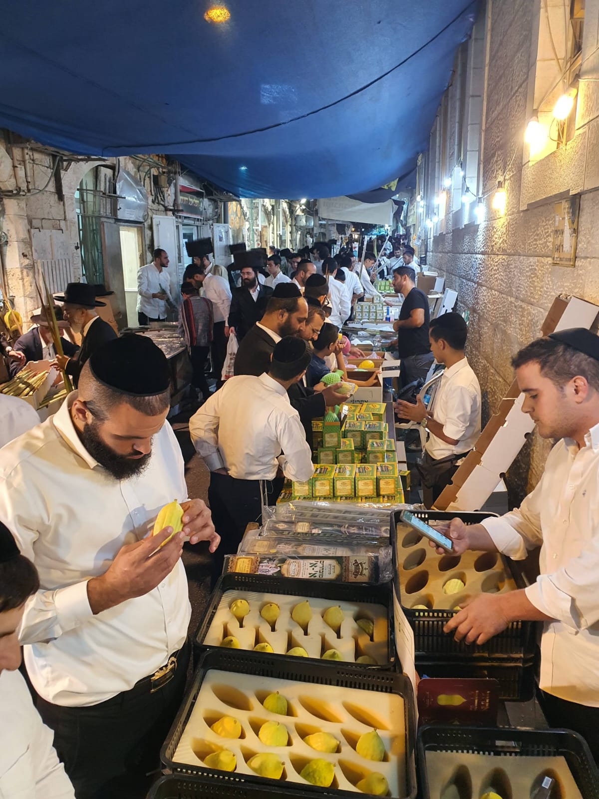 La Municipalidad de Jerusalén vuelve a inaugurar el mercado de las "Cuatro especies" para sucot. Foto: L Reuven Leitush.