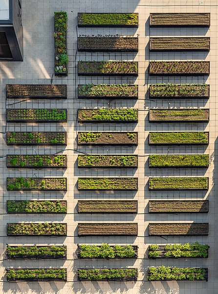 La startup israelí Bing Klima ha desarrollado un sistema de techo verde todo en uno que incluye plantas y paneles solares. Foto: Rhododendrites/CC BY-SA 4.0, via Wikimedia Commons.