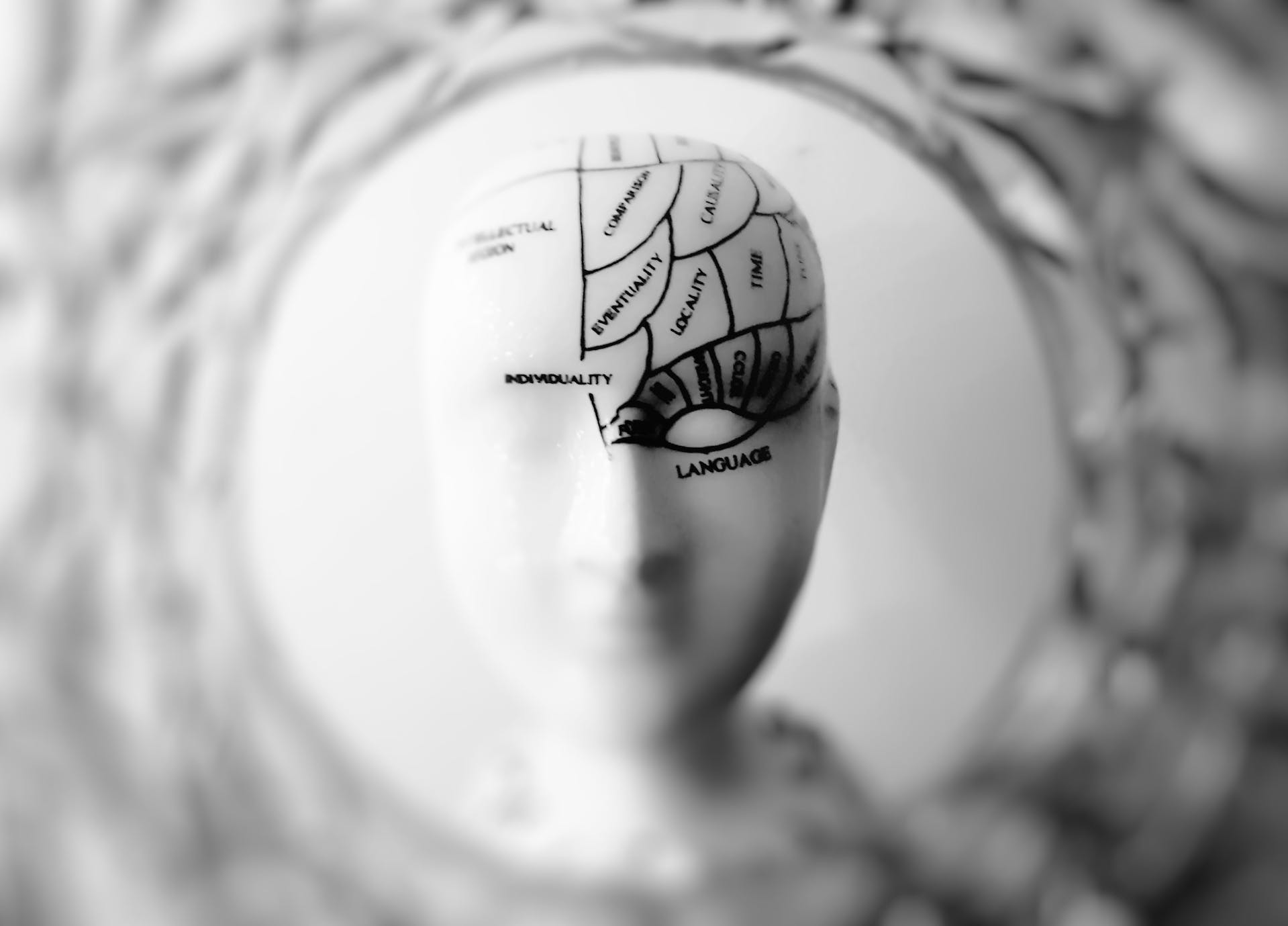 Según la neurociencia, el estrés agudo es causado por la hiperactivación de una pequeña región del cerebro llamada amígdala. Foto: Meo/Pexels.