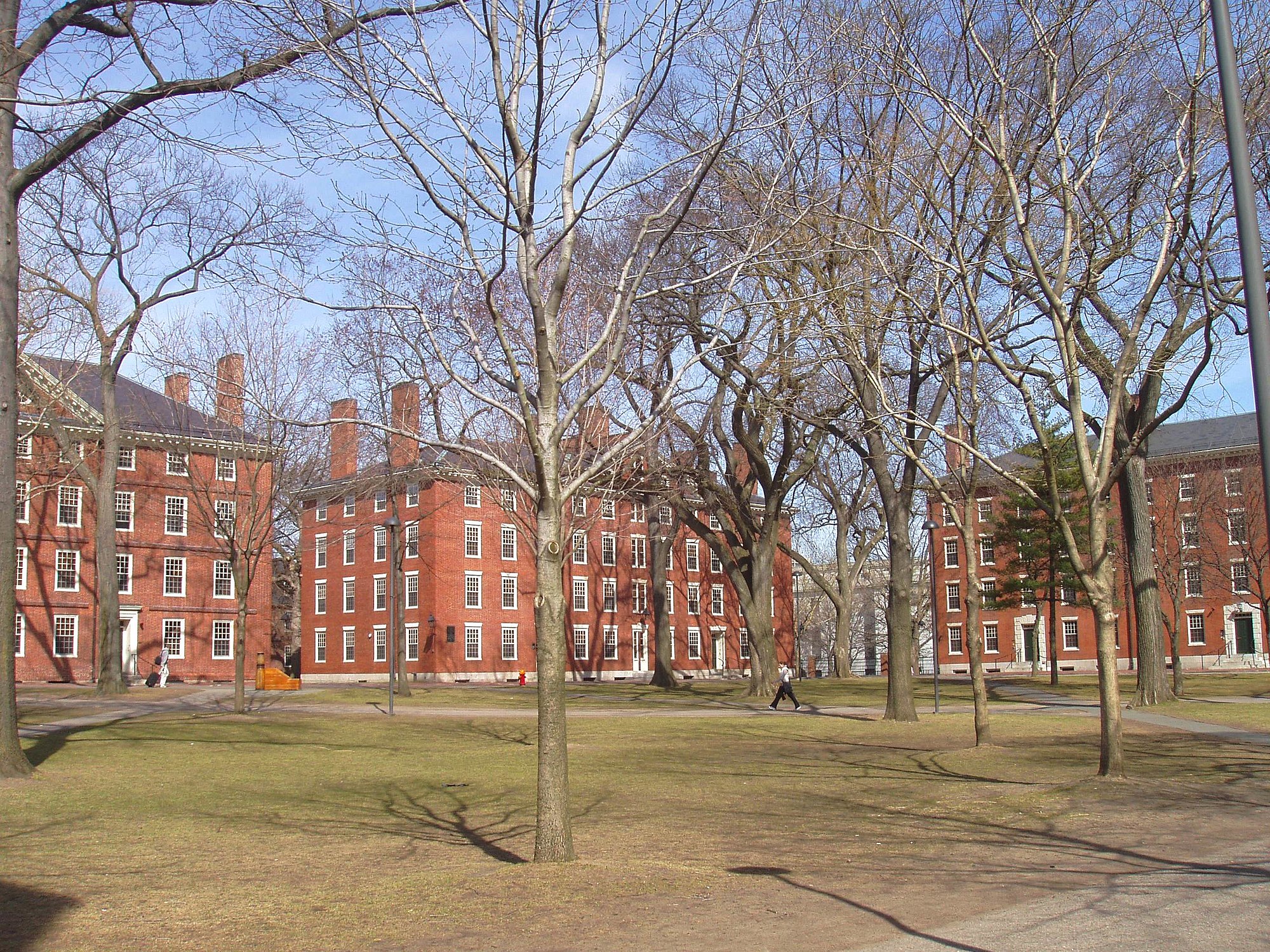 Vista general de Harvard Yard, Universidad de Harvard, Cambridge, Massachusetts, EE.UU. Foto: Daderot/Creative Commons Attribution-ShareAlike 3.0 Unported.
