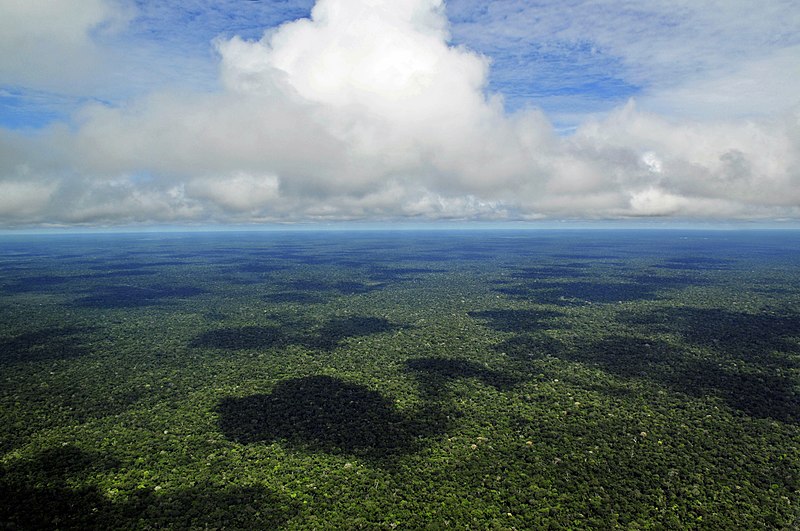 Vista aérea de la selva amazónica, cerca de Manaos, la capital del estado brasileño de Amazonas. Foto: Neil Palmer/CIAT/CC BY-SA 2.0, via Wikimedia Commons.