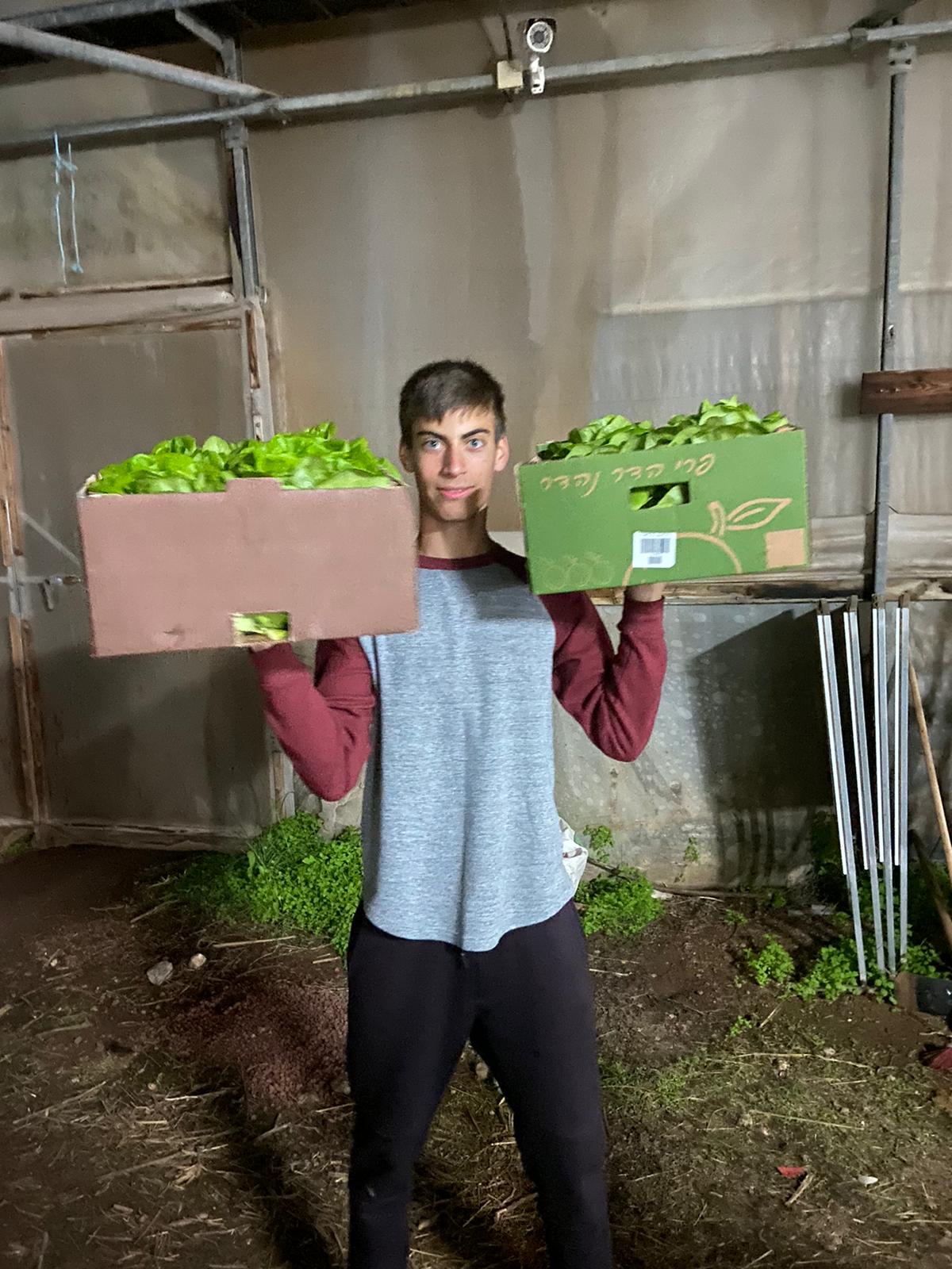 Los estudiantes de secundaria de una escuela agrícola decidieron iniciar un proyecto para apoyar a la asociación "Ezer Lazulat" en Afula, que dona verduras frescas y distribuye comidas calientes a personas necesitadas y sobrevivientes del Holocausto. Foto: Kamir.