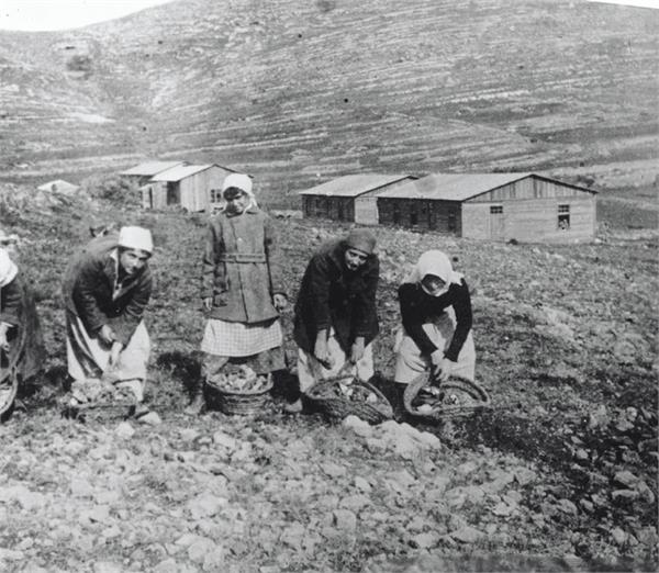 Arando en la Granja de Mujeres, Ayanot 1934. Foto: Zoltan Kluger, KKL-JNF Archive