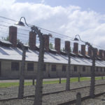 Testimonios del Holocausto húngaro
